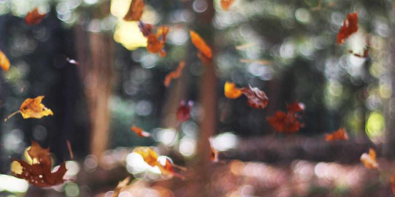 从被动应对到主动嵌入：卓越华天解读企业合规风险管理体系构建之道