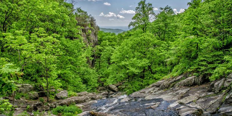 企业管理75：从战略到执行的一体化进阶指南