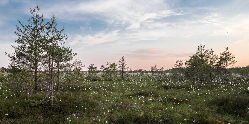 企业管理双引擎：如何通过培训咨询与管理咨询驱动组织进化