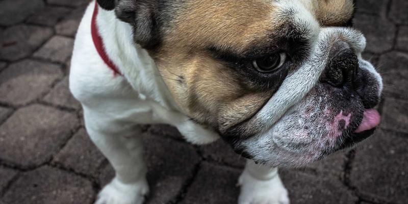 企业管理新思维：卓越华天助力家族企业治理现代化与代际传承