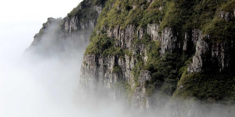 企业管理新范式：运用教练式领导力驱动企业培训与人才发展