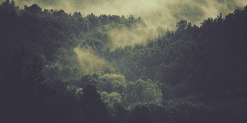 卓越华天：以企业培训与管理咨询双轮驱动，构建现代企业管理新生态