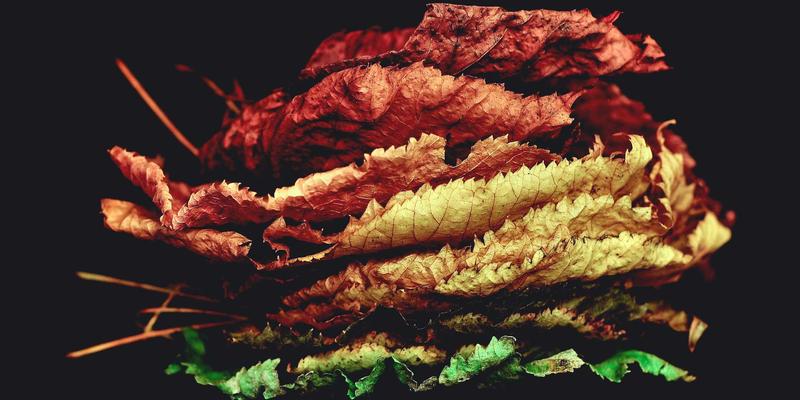 卓越华天:企业培训与管理咨询双轮驱动,赋能企业管理59时代新跃升