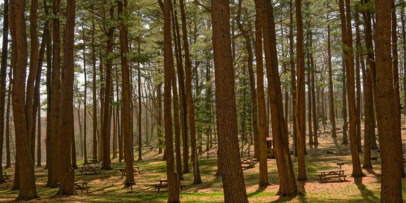 卓越华天：企业数字化转型中，中层管理者角色重塑与能力提升之道