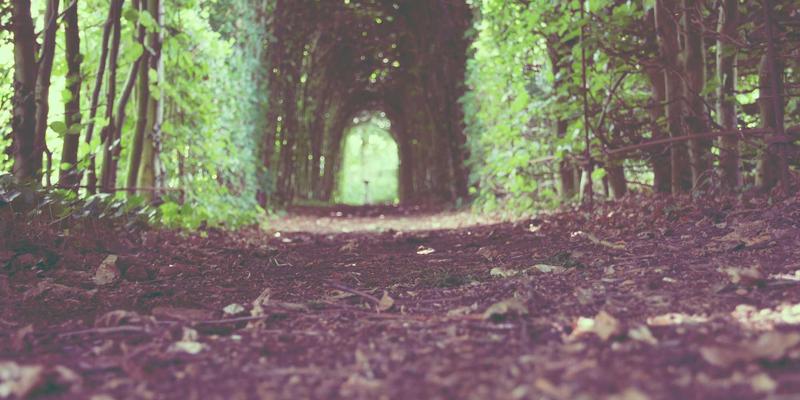 卓越华天启示录：企业培训如何成为现代企业管理升级的核心引擎