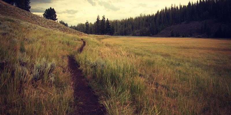 卓越华天管理咨询：OKR实践如何超越传统KPI，驱动企业战略落地