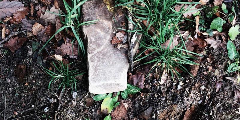 卓越华天:管理咨询如何赋能企业实现卓越管理