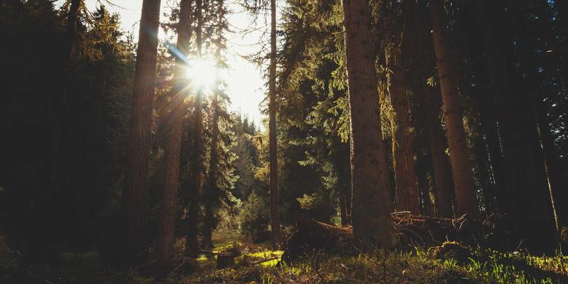 卓越华天：解码企业管理优势，以管理咨询与企业培训驱动持续增长