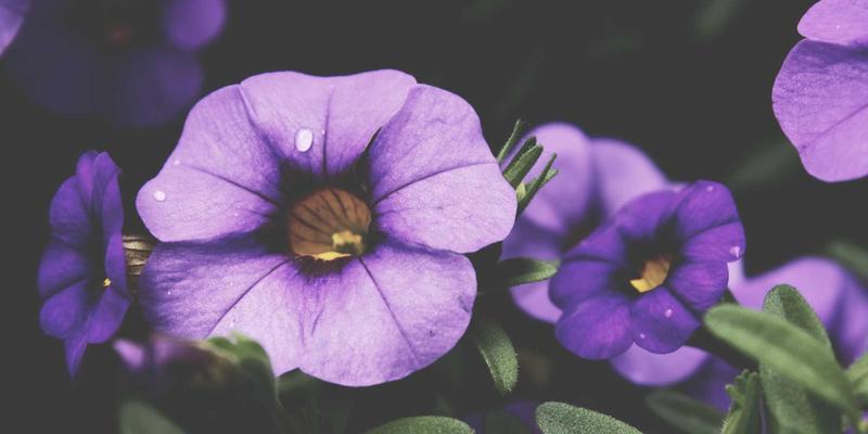 卓越华天解码:现代企业管理如何通过专业咨询实现跨越式发展