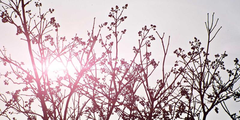 后疫情时代企业战略弹性与业务连续性管理规划：企业培训与管理咨询的新焦点