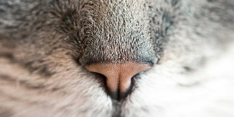 工业4.0时代，智能工厂如何通过企业培训与管理咨询实现高效生产运营与技术集成