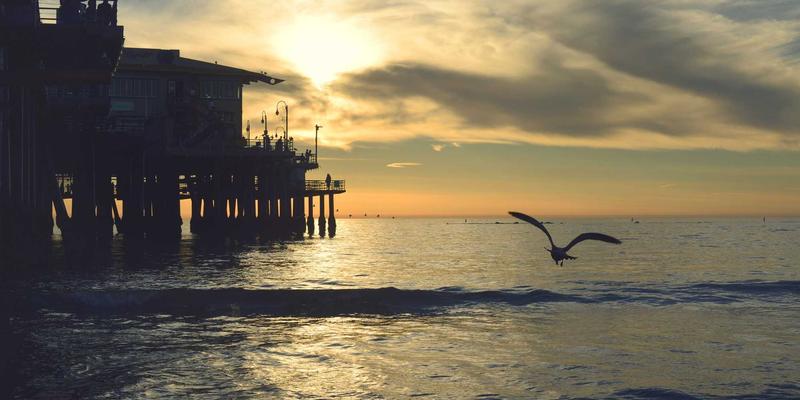 构建心理安全堡垒：驱动高绩效团队的企业管理与培训策略