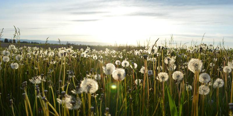 管理咨询与培训咨询双轮驱动：如何通过OKR实现企业战略目标的有效对齐与落地