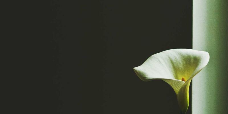 管理咨询新视角：如何通过企业培训与流程再造（BPR）实现运营效率倍增